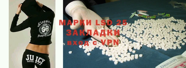 прущий лед Вяземский