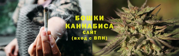 прущий лед Вяземский