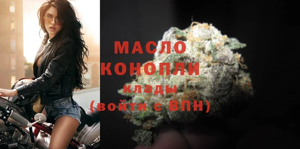 прущий лед Вяземский