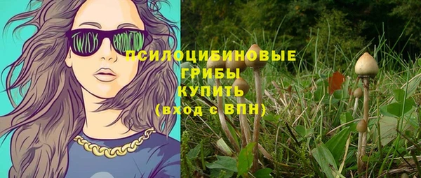 прущий лед Вяземский