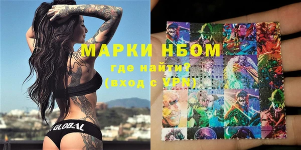 прущий лед Вяземский