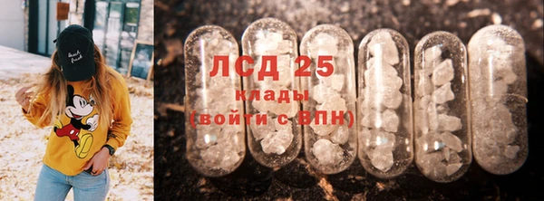 прущий лед Вяземский