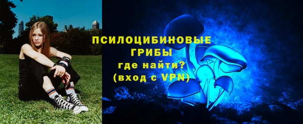 прущий лед Вяземский